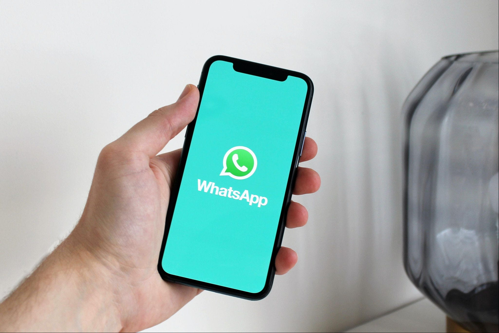 Whatsapp celular